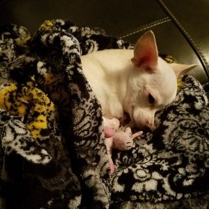 Meet your Posher, Katrina